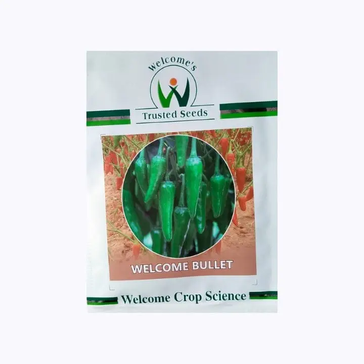 Welcome Bullet Chilli Seeds – main view