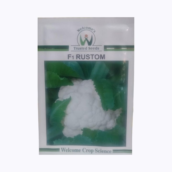 Welcome Crop F1 Rustom Hybrid Cauliflower Seeds