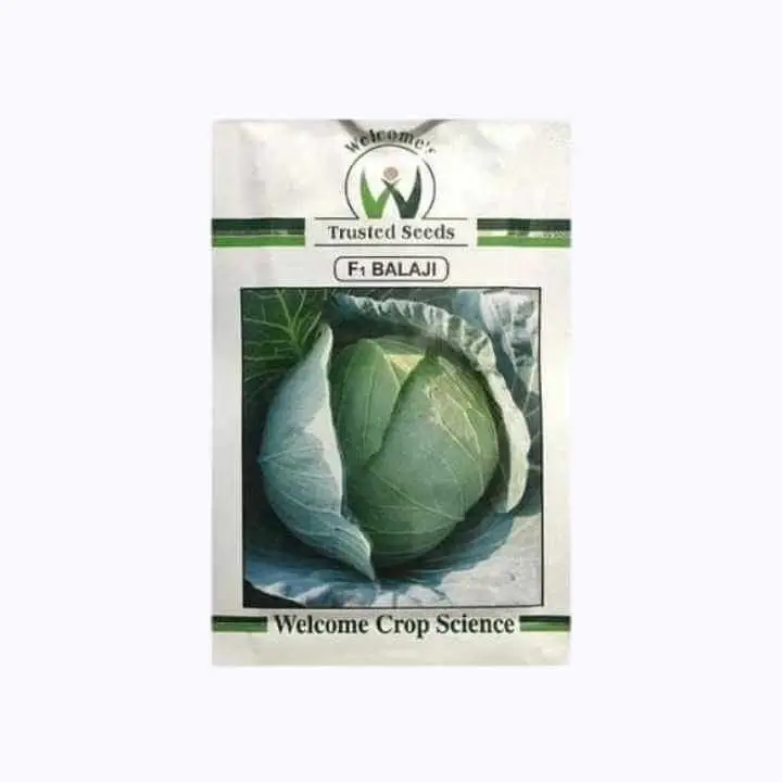 Welcome F1 Balaji Cabbage Seeds - 10g – main view