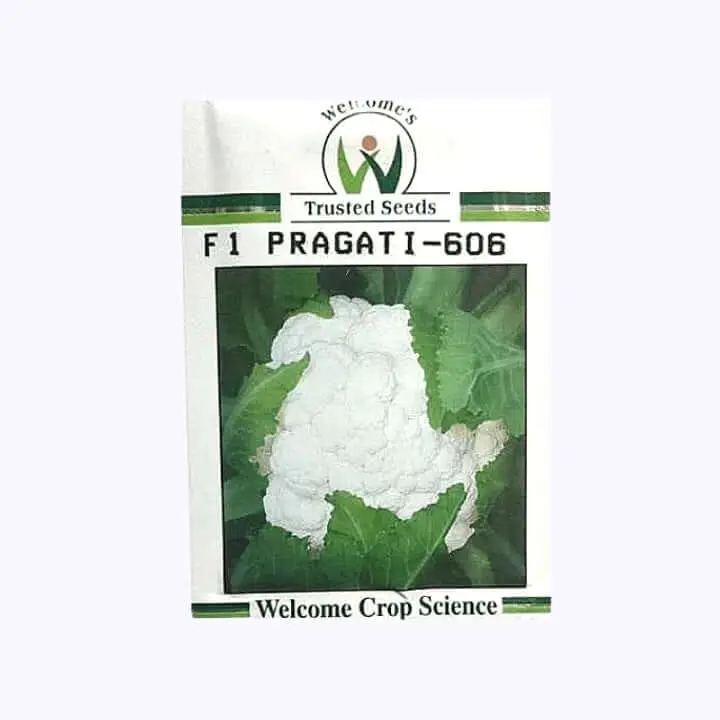 Welcome Pragati 606 Cauliflower Seeds