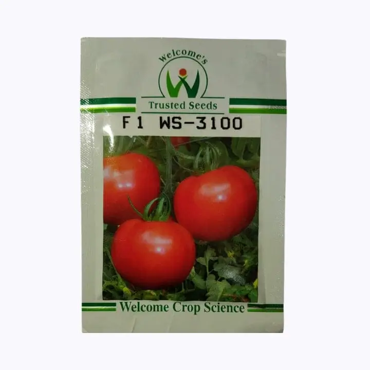 Welcome's WS-3100 Tomato Seeds – main view