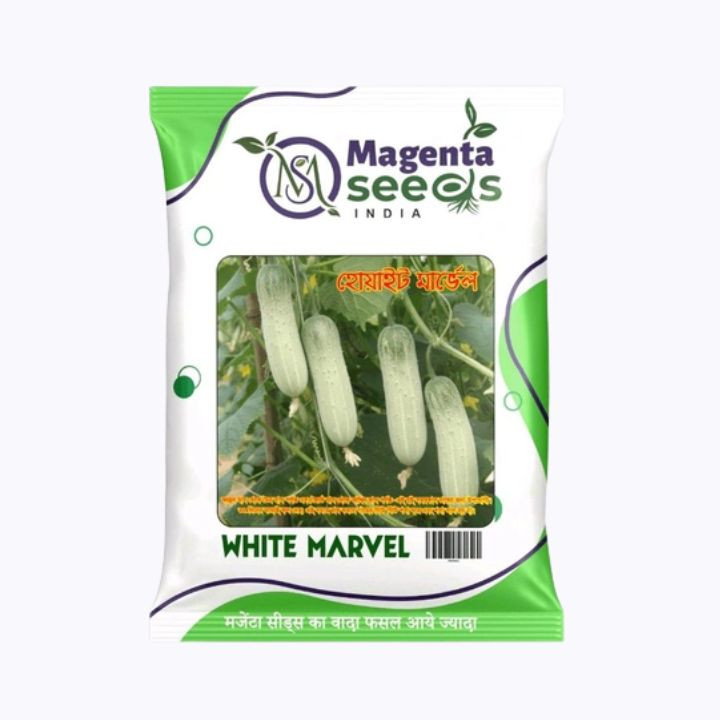 White Marvel Desi Khira (Cucumber) Seeds