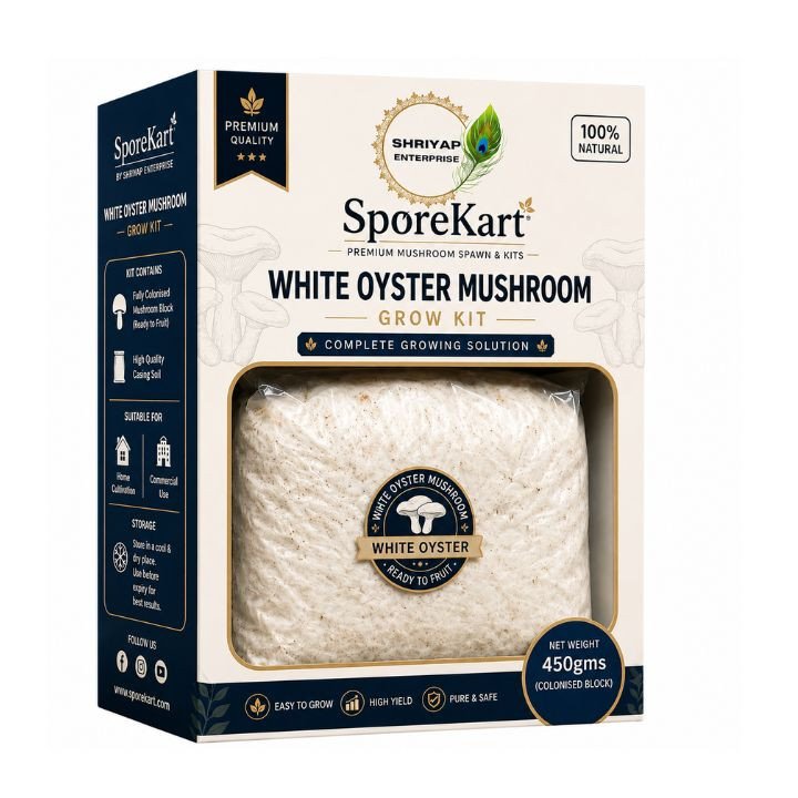 SporeKart White Oyster Mushroom Ready to Fruit Bag